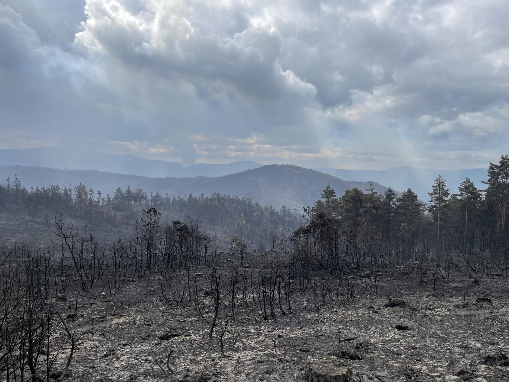 Incendios Courel - 9